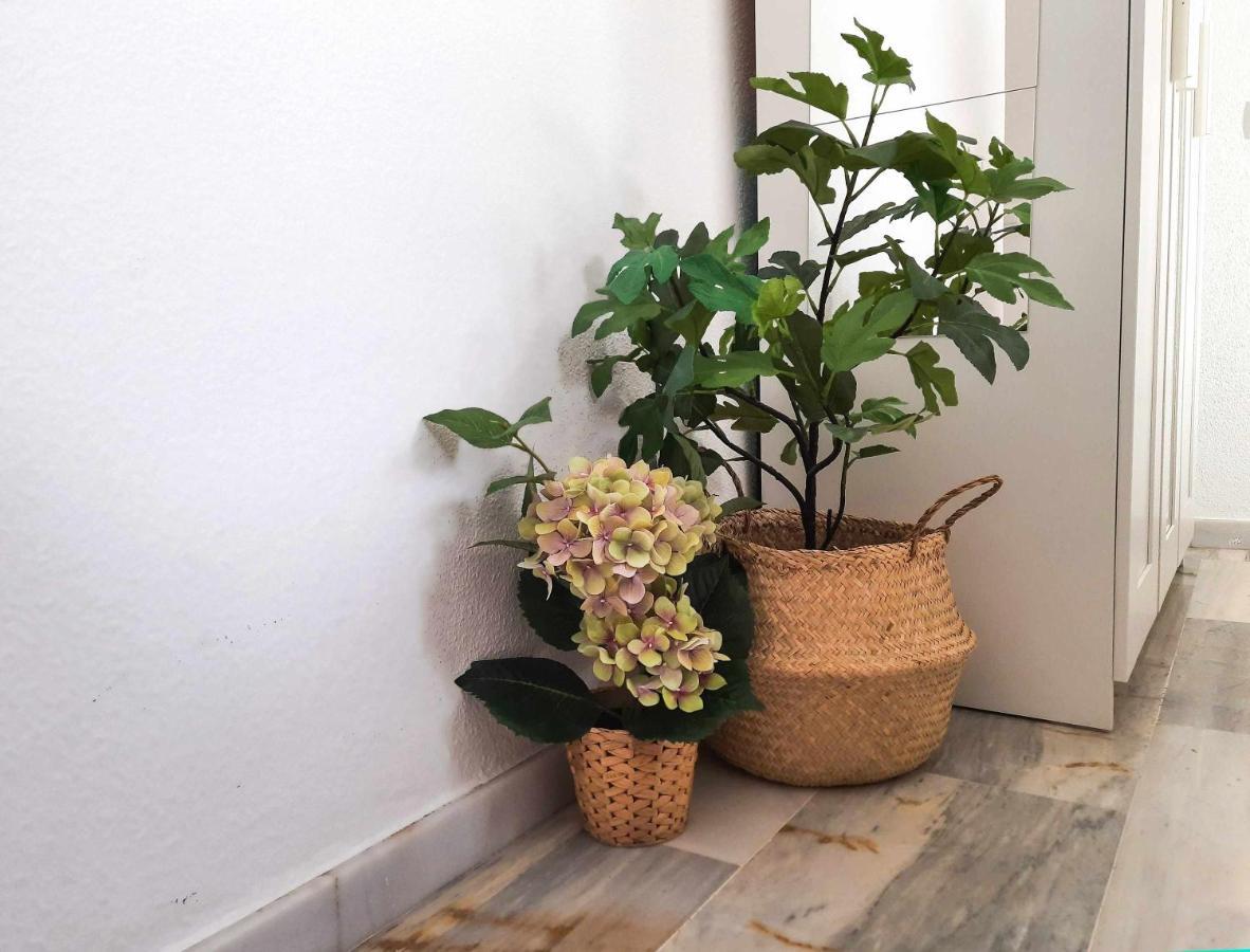 Lovely Center - Sunny Balcony Alfalf *
